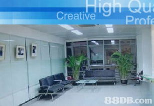 一站式解决方案 衍智集团装饰工程及配套服务全面解析